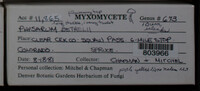 Image Associated With the Occurence